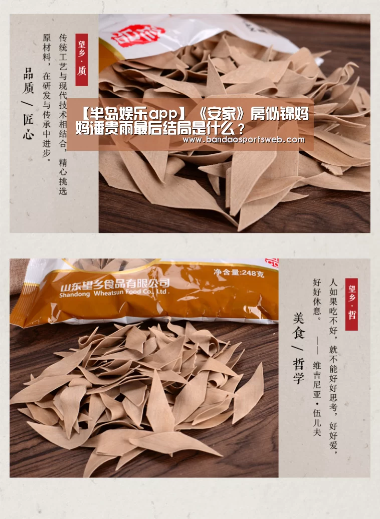 【半岛娱乐app】《安家》房似锦妈妈潘贵雨最后结局是什么?(图1) 半岛娱乐官网
