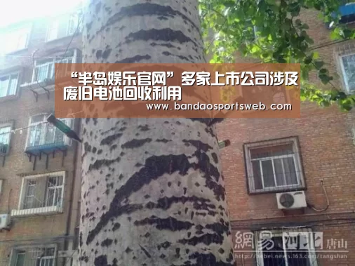 “半岛娱乐官网”多家上市公司涉及废旧电池回收利用(图4) 半岛娱乐官网