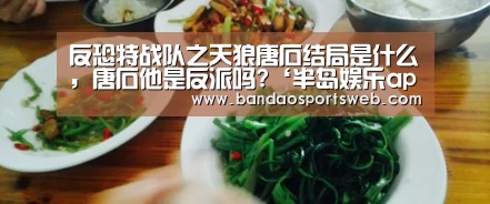 反恐特战队之天狼唐石结局是什么,唐石他是反派吗?‘半岛娱乐app’(图2) 反恐特战队之天狼唐石结局是什么,唐石他是反派吗?‘半岛娱乐app’(图2)