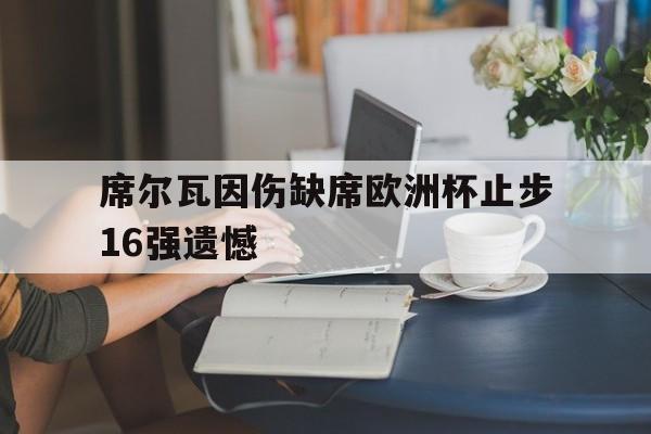 半岛体育-席尔瓦因伤缺席欧洲杯止步16强遗憾