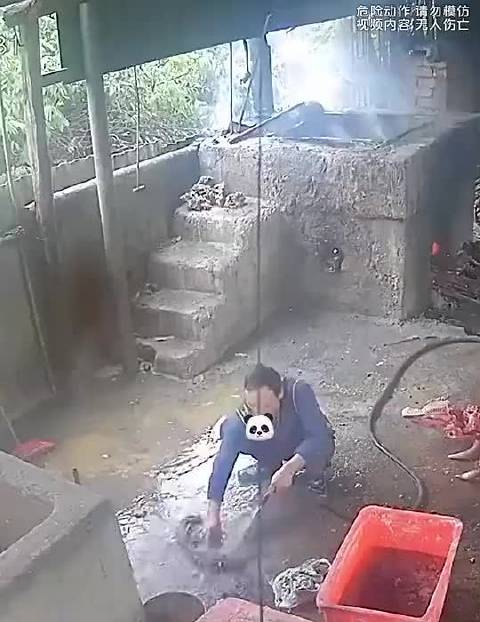 半岛体育-亚特兰大客战帕尔马，临危受命总能逢凶化吉