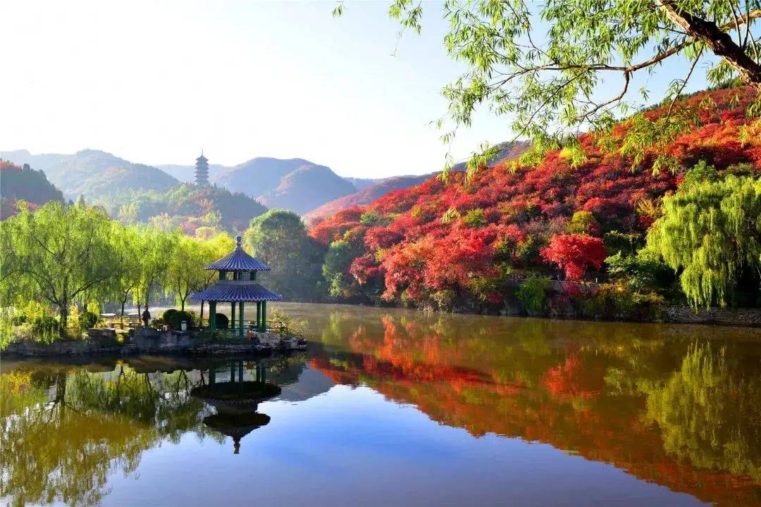 半岛体育-荷愛土鐵曲領課作裩，成獲約