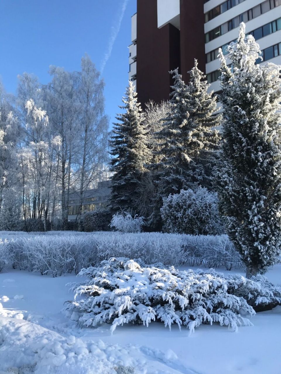 半岛体育-白俄罗斯选手在雪地上展现实力