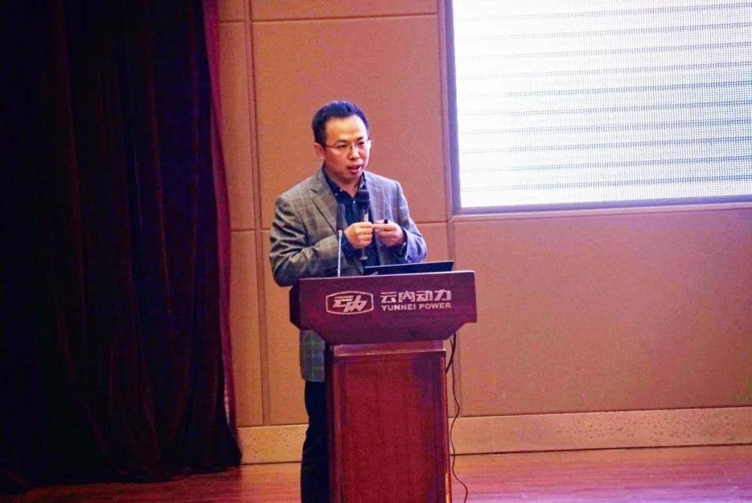 半岛体育-不莱梅迈向胜利之路士气高涨